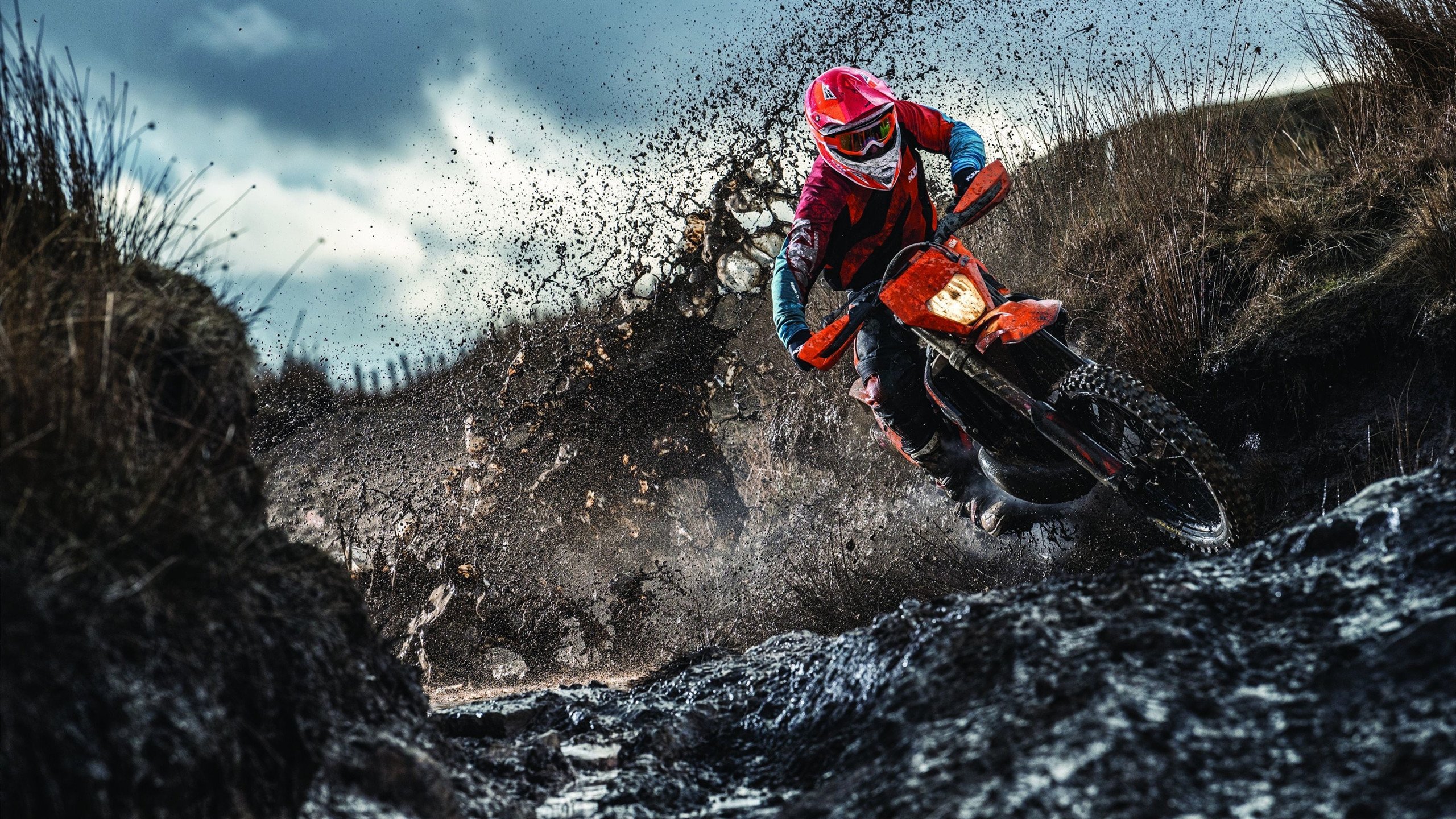 【比赛走向】从统计数据预测本季季后赛走向,季后赛出线形势